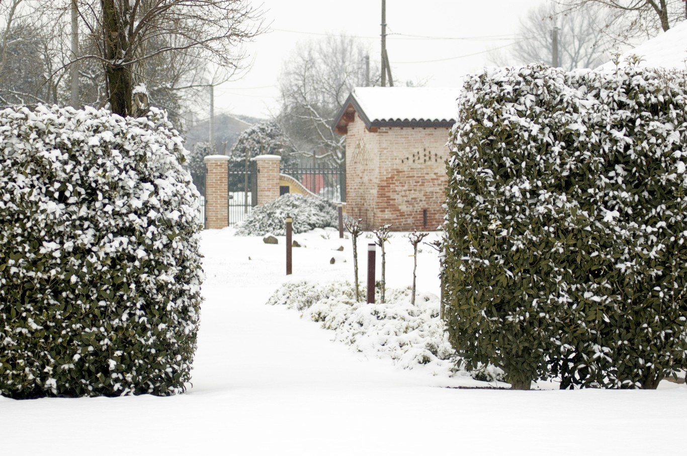 Location Eventi Invernali Veneto2