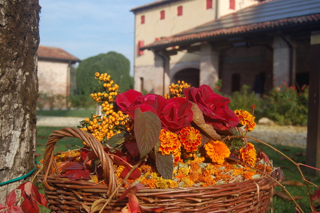 location per matrimonio in autunno a Padova - Casa Tormene