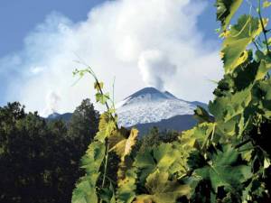 Degustazione vini vulcanici