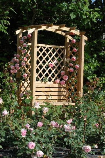 Un giardino di rose a Padova